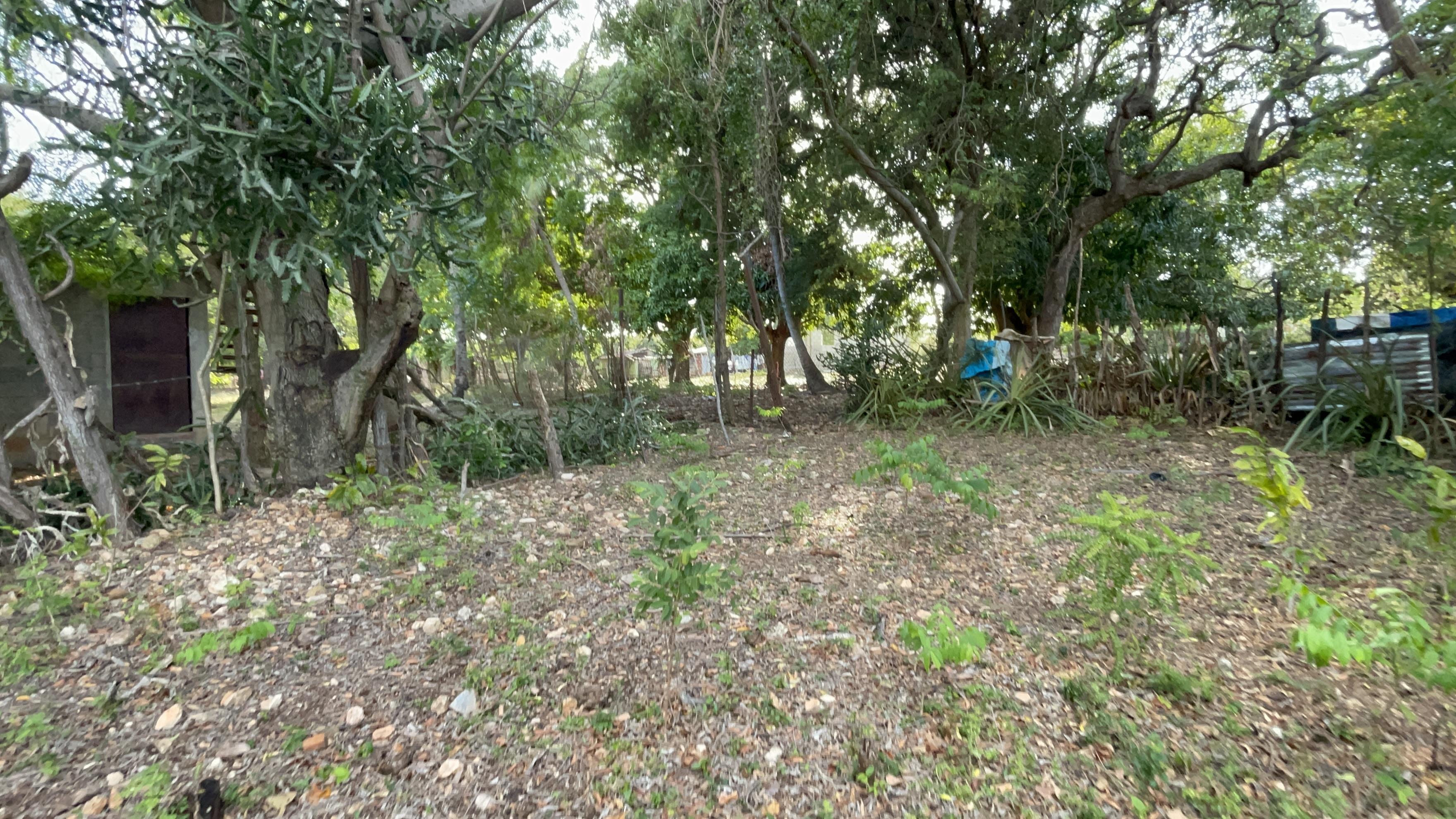Vendo hermosa finca en Najayo  Foto 7272519-4.jpg