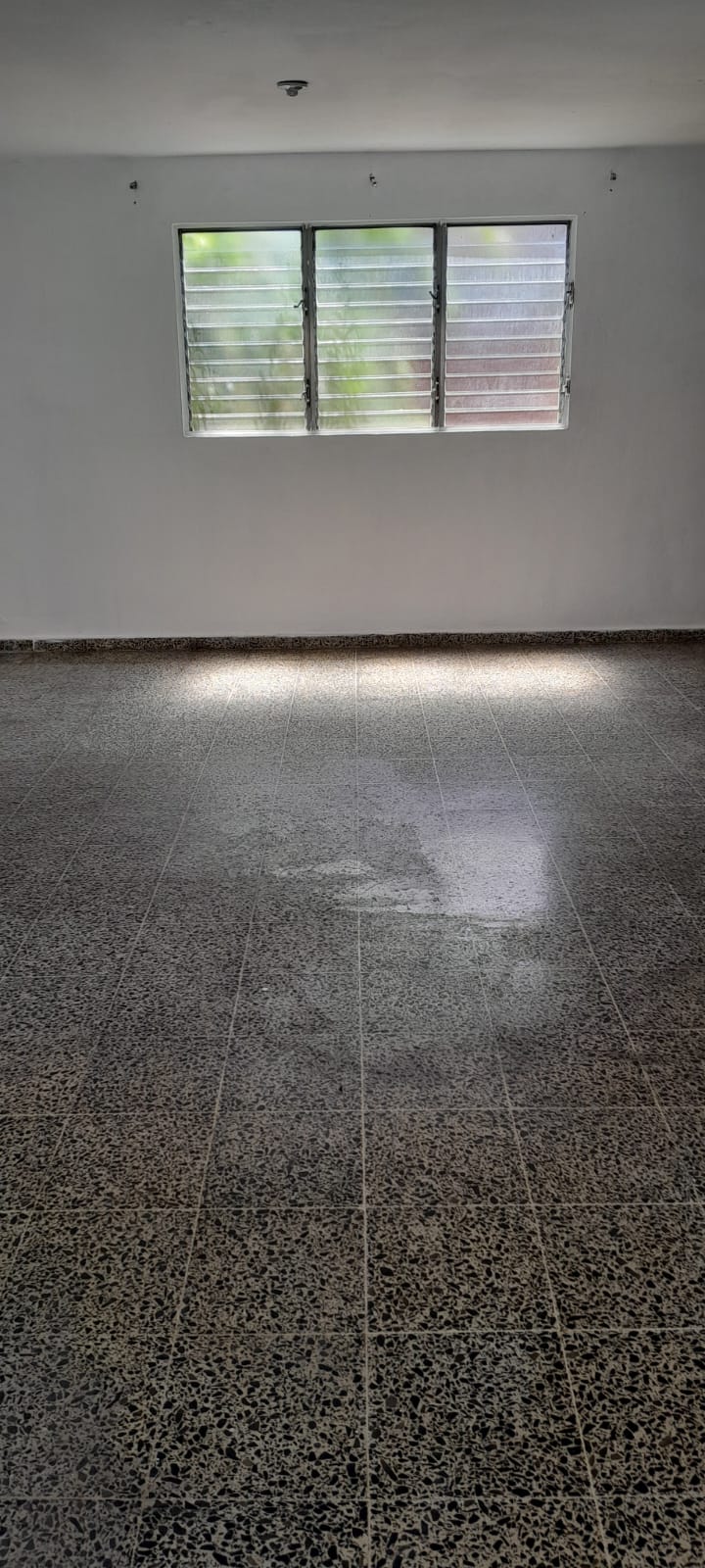 Apartamento En Alquiler 3r Piso Edificio 31 Ens. Paraiso. Foto 7272655-4.jpg