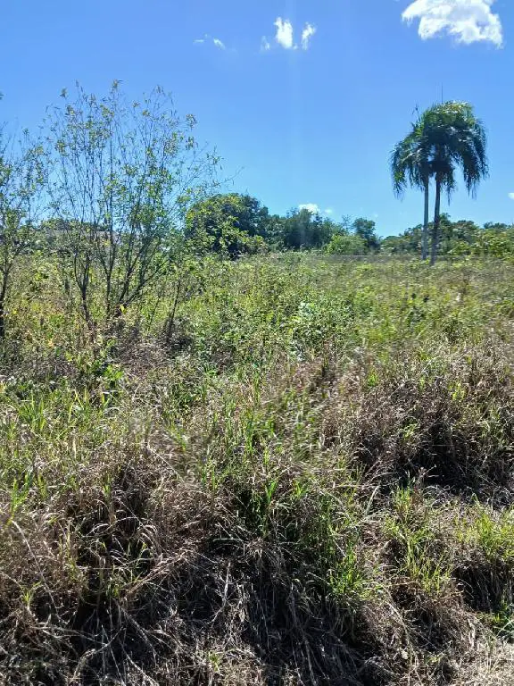 Finca en Venta Guerra41 Foto 7272721-4.jpg