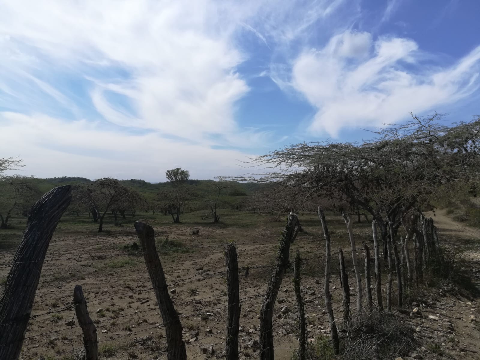 Vendo Terreno de 5000 TAREAS en Guayubin Montecristi para Proyecto de  Foto 7272742-2.jpg