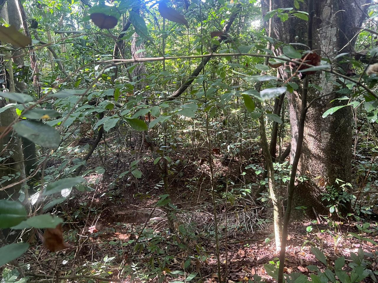 Terreno en Venta de 27000 MTS2 Circunvalación Sto Dgo Foto 7273029-2.jpg