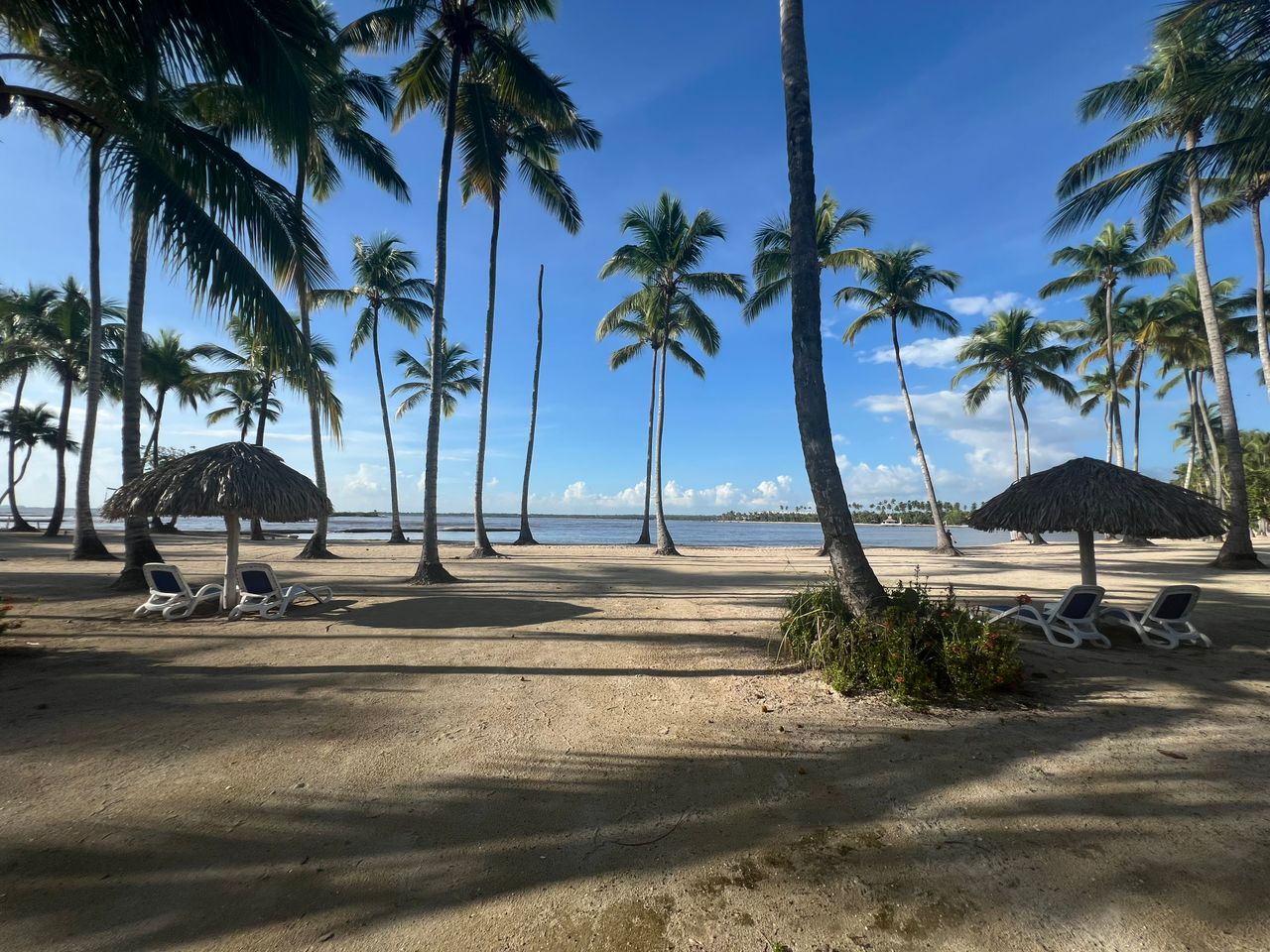 Alquilo y vendo un apartamento en Playa nueva Romana Foto 7273050-10.jpg