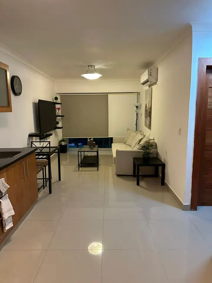 Apartamento Amueblado en Alquiler en Renacimiento Foto 7273084-4.jpg