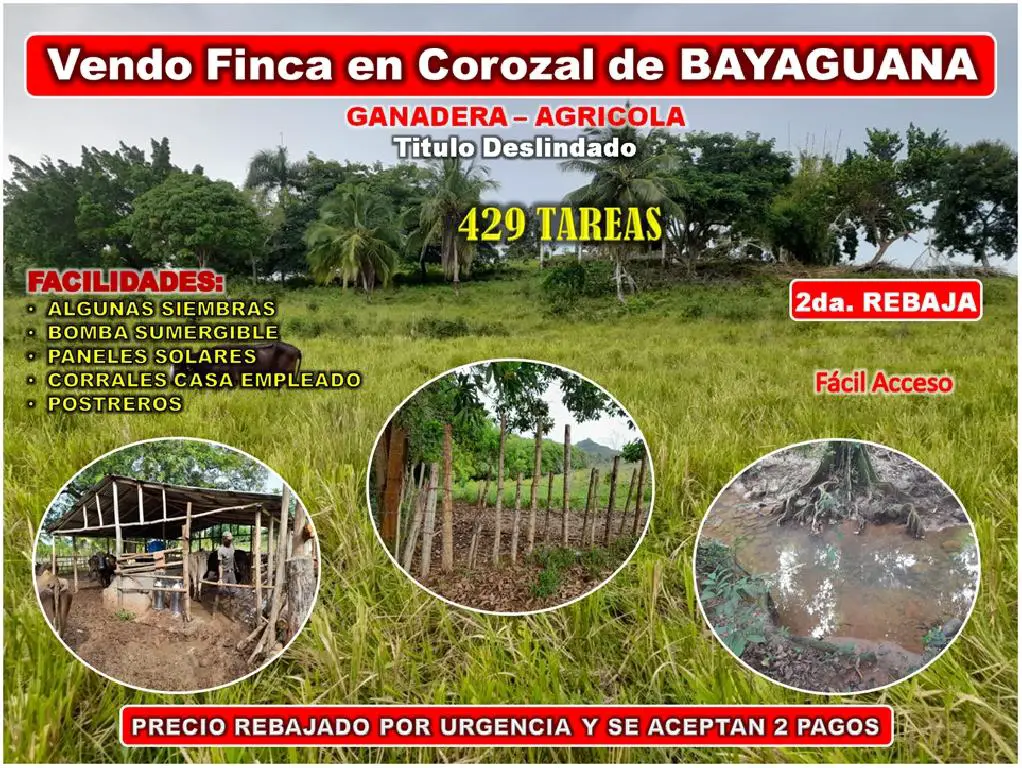 VENDO FINCA 429 TAREAS EN BAYAGUANA 2DA. REBAJA cerca de la Casa Club  Foto 7273265-1.jpg