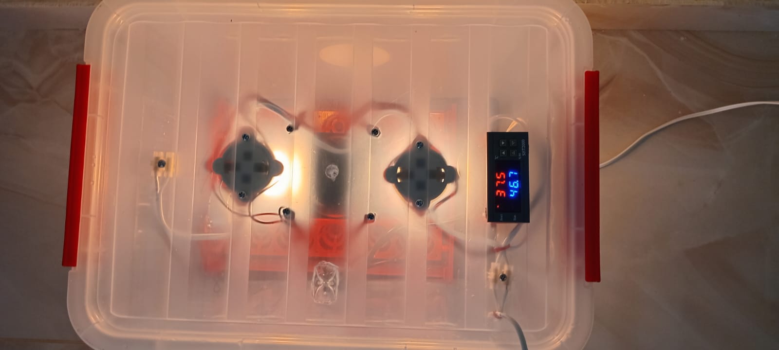 INCUBADORA DE HUEVOS  AUTOMATICA  CAPACIDAD PARA 15  HUEVOS 110V Foto 7273373-2.jpg