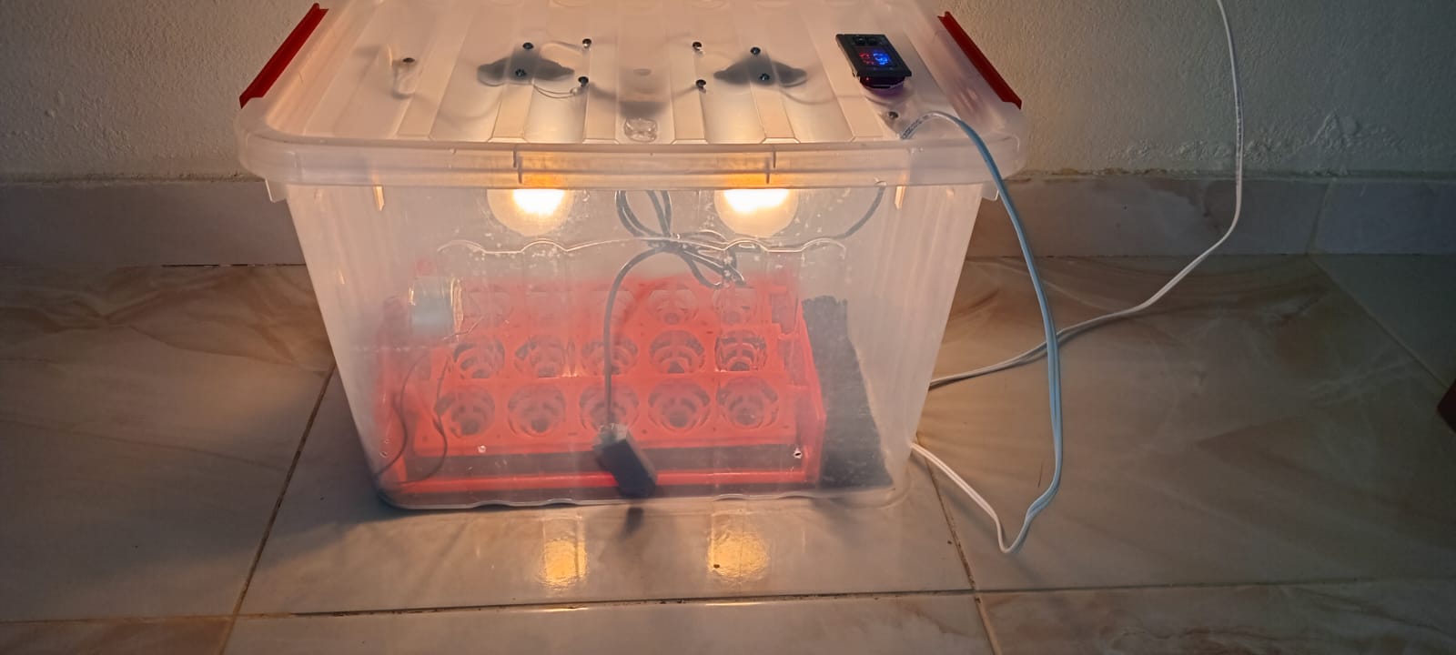 INCUBADORA DE HUEVOS  AUTOMATICA  CAPACIDAD PARA 15  HUEVOS 110V Foto 7273373-4.jpg