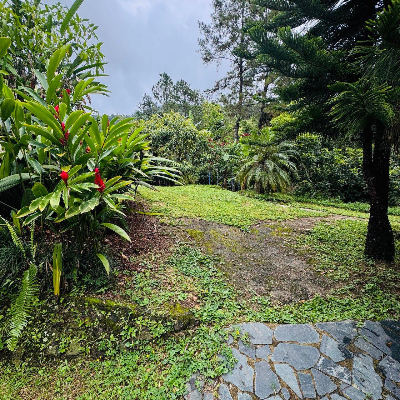 Vendo VILLA ECOLÓGICA en Bonao  Foto 7273848-12.jpg
