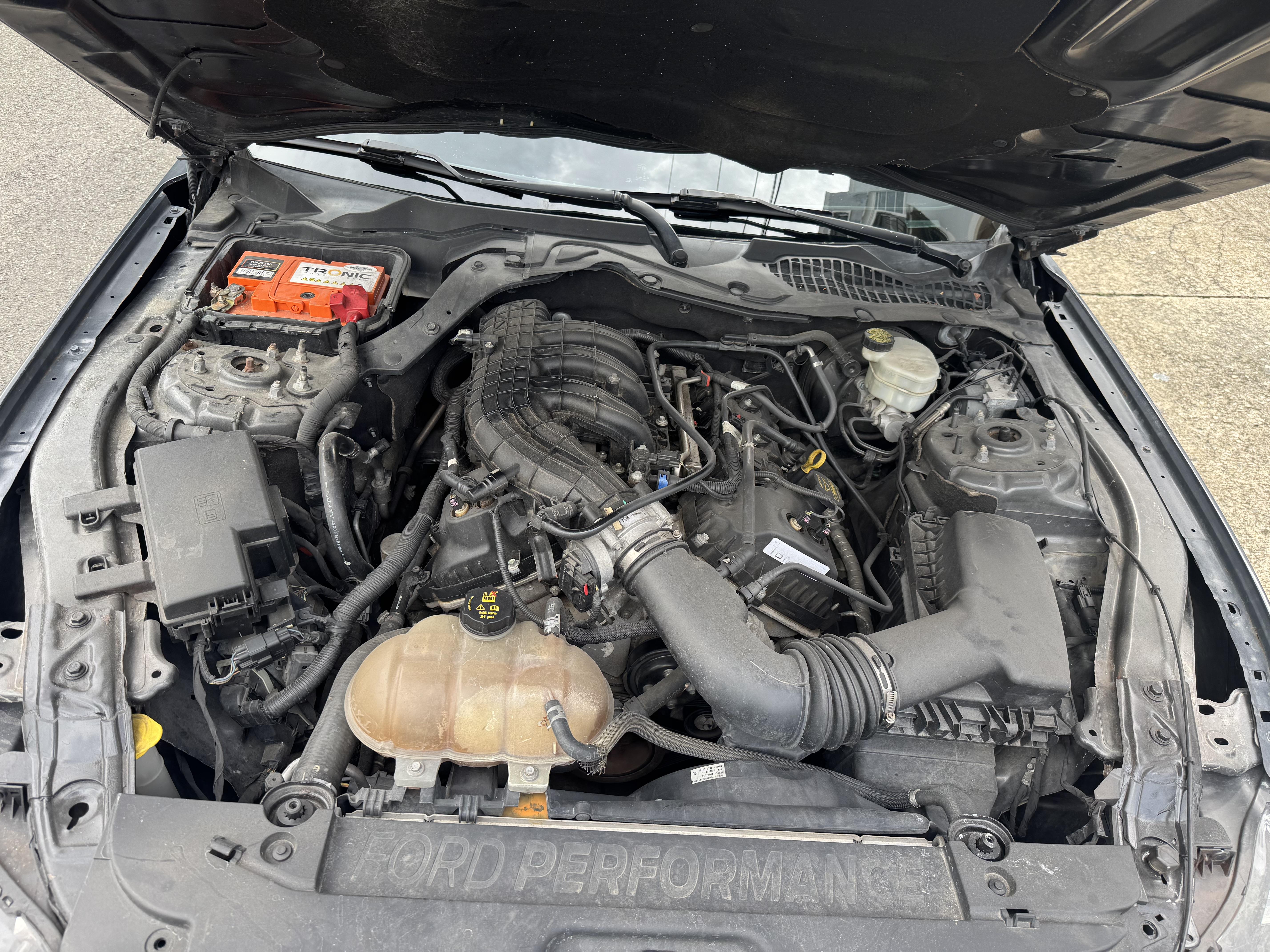 Ford Mustang 2016 V6  Foto 7274182-9.jpg