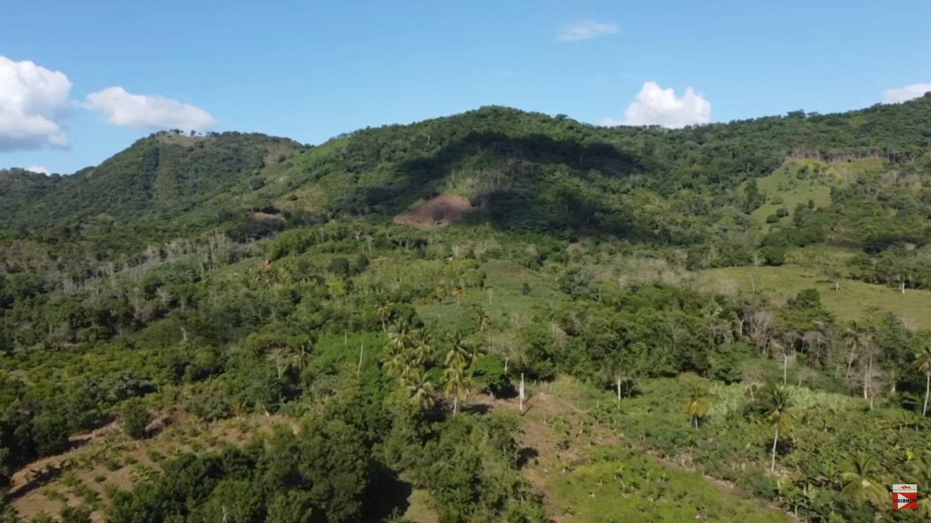 Finca de 1500 tareas con Casa Grande En Yamasa Monte Plata Rep Dom Foto 7274342-8.jpg