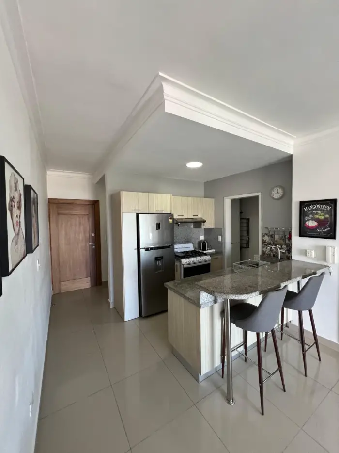 Apartamento Amueblado En Venta En El Ensanche Julieta Foto 7274755-7.jpg