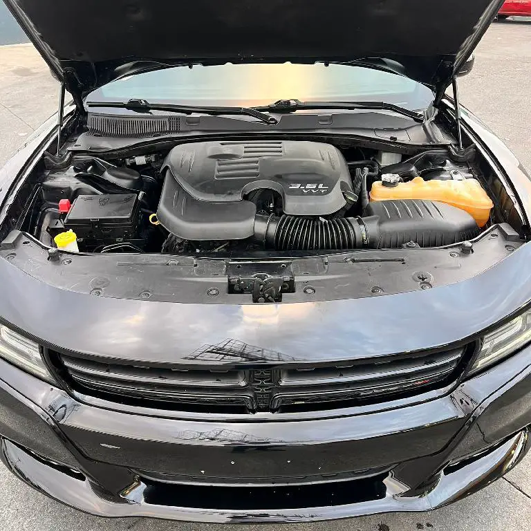 Dodge Charger SXT 2019 Foto 7275053-7.jpg