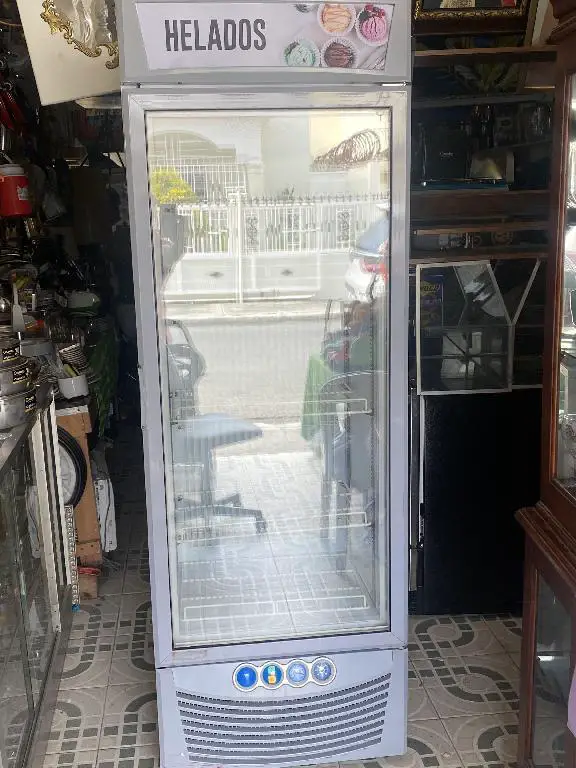 Frezer congelador 220v en Peravia Foto 7275113-1.jpg