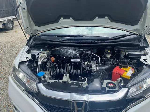 Honda Fit 2019 Foto 7275315-10.jpg