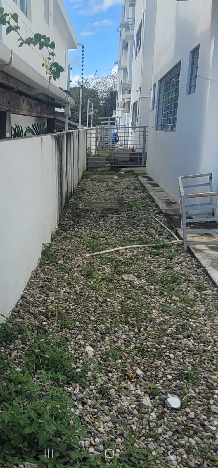 Apartamento en venta y renta en Los Llanos de Gurabo Santiago R.D Foto 7275338-10.jpg