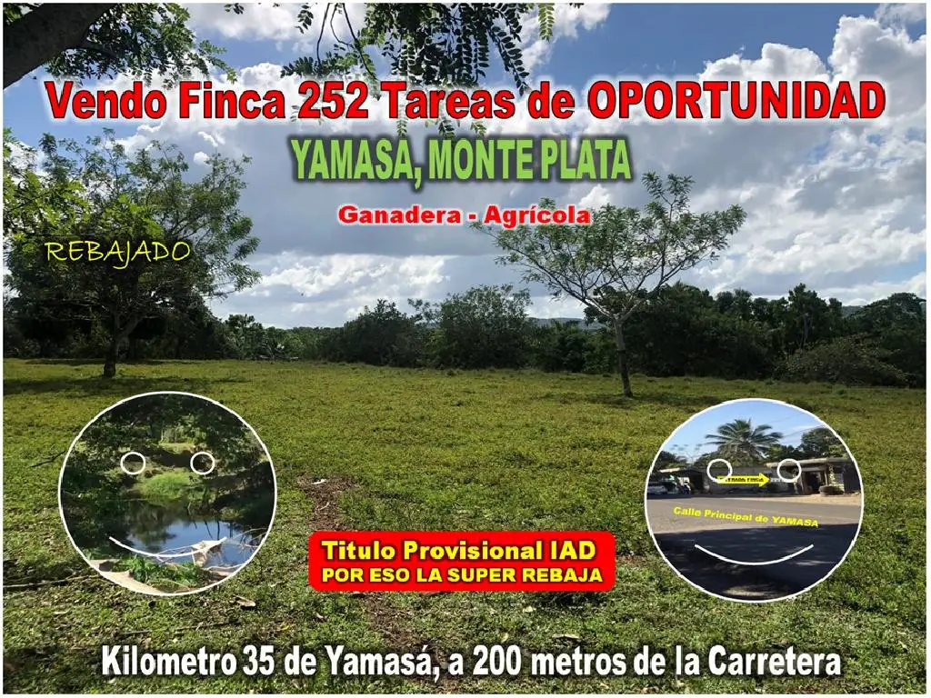 VENDO FINCA DE 252 TAREAS EN EL 35 DE YAMASA SUPER REBAJADA Foto 7276074-1.jpg