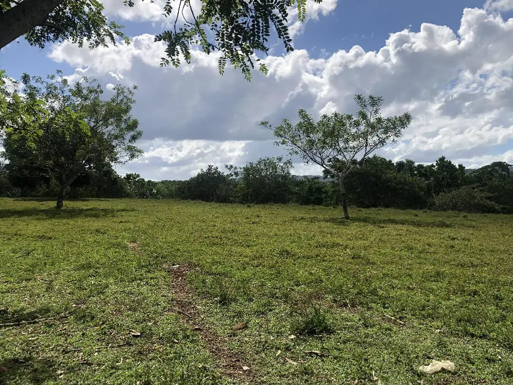 VENDO FINCA DE 252 TAREAS EN EL 35 DE YAMASA SUPER REBAJADA Foto 7276074-4.jpg