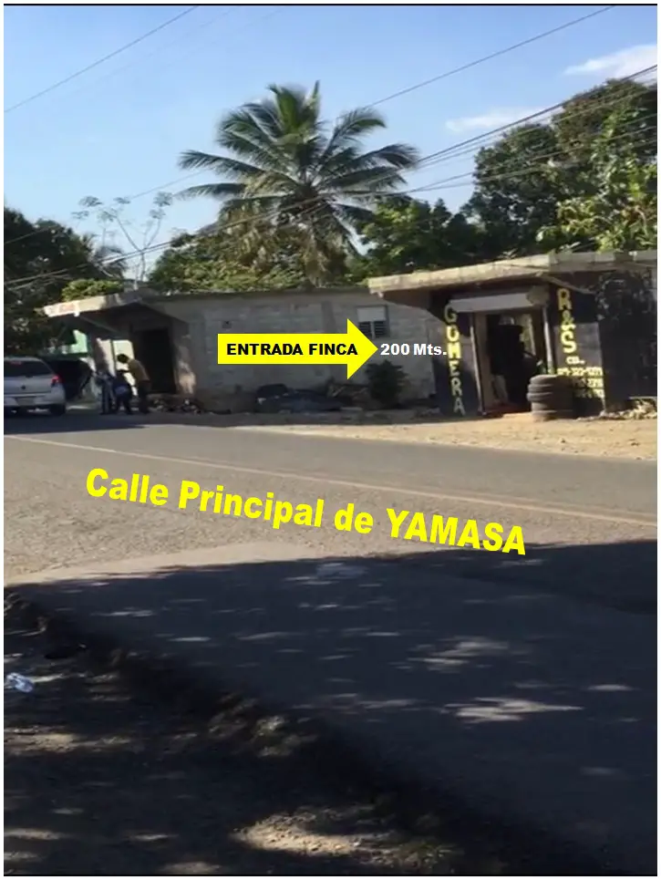 VENDO FINCA DE 252 TAREAS EN EL 35 DE YAMASA SUPER REBAJADA Foto 7276074-7.jpg