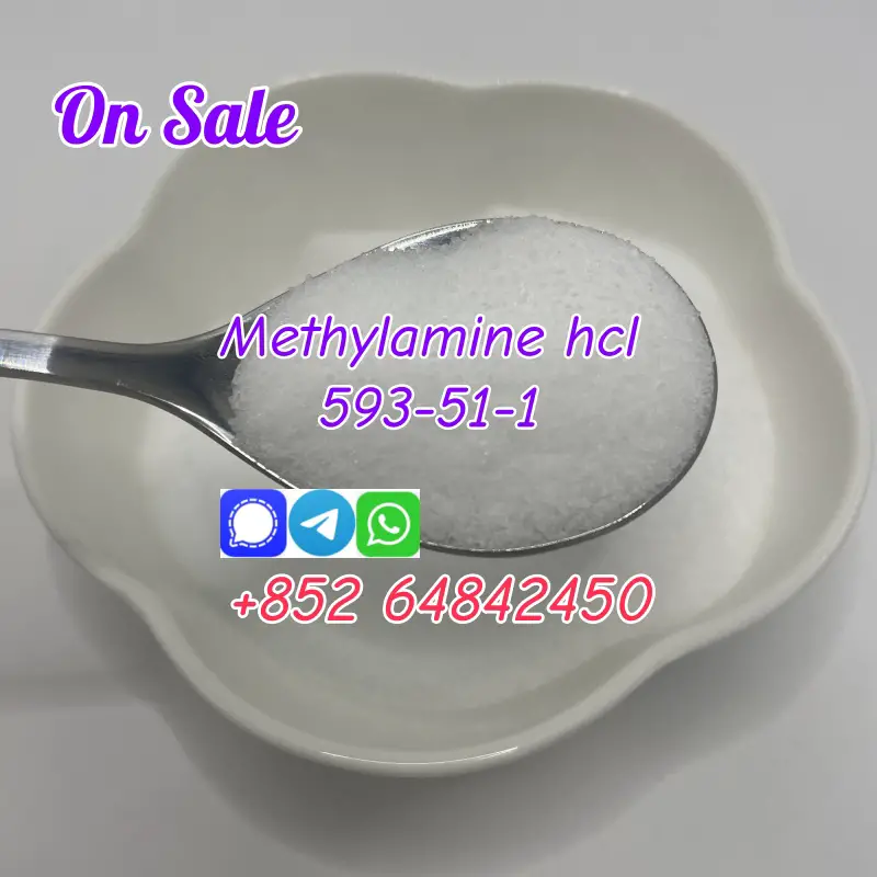 factory supply chemical raw material Methylamine  hcl Cas593-51 Foto 7276112-2.jpg