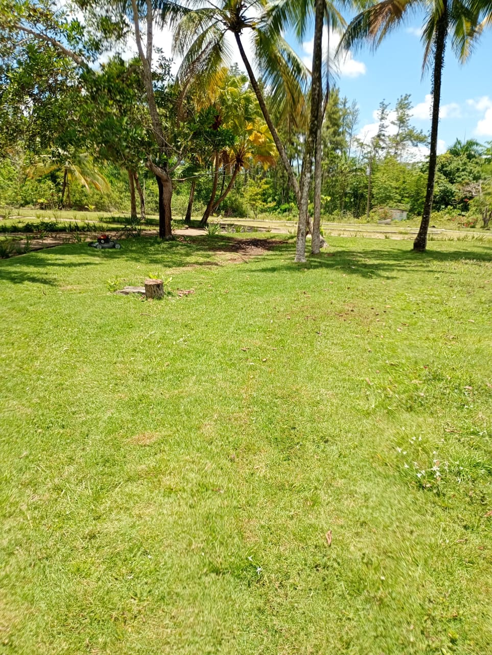 VENDO SOLAR DE 900MTS EN VACACIONAL HARAS Foto 7276267-4.jpg