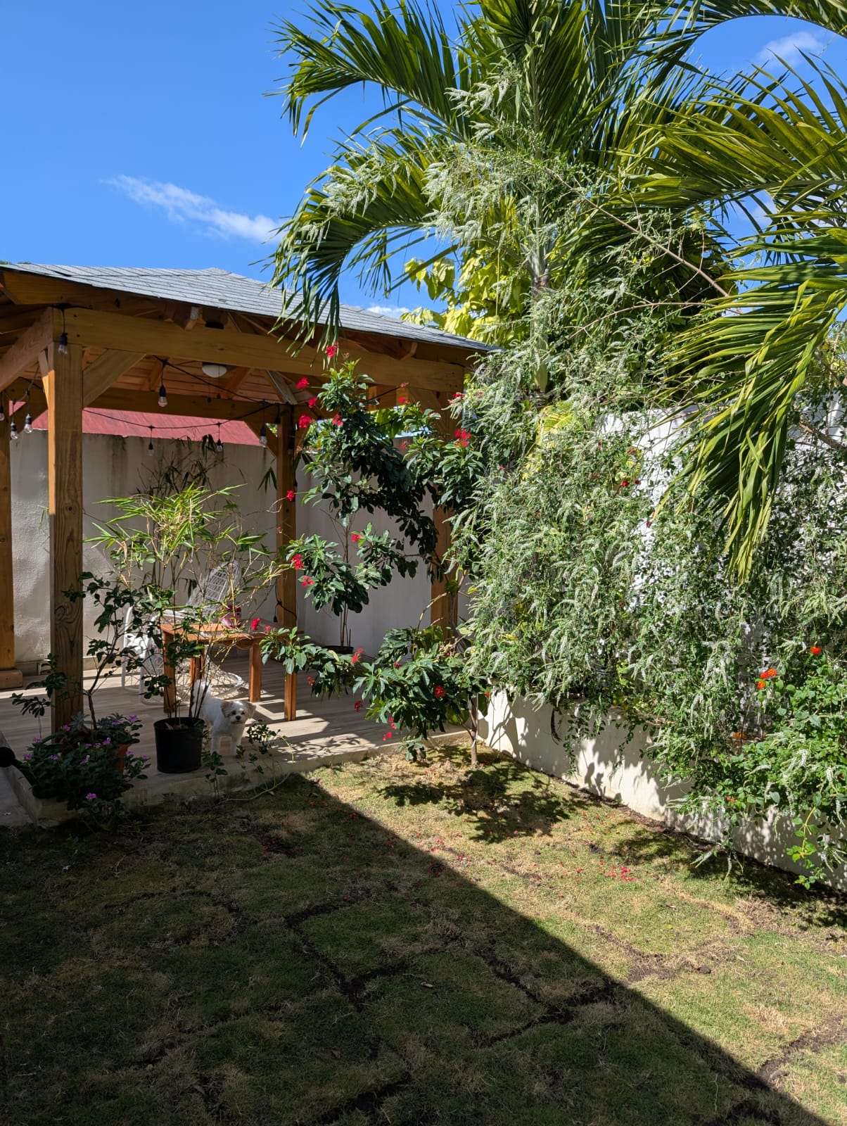 Casa en Arroyo Manzano de tres habitaciones Proyecto Cerrado Foto 7276268-9.jpg
