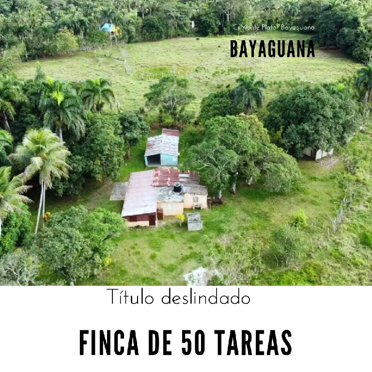 Finca de 50 tareas con vocación Agrícola y Ganadera con Casa campestre Foto 7277305-1.jpg