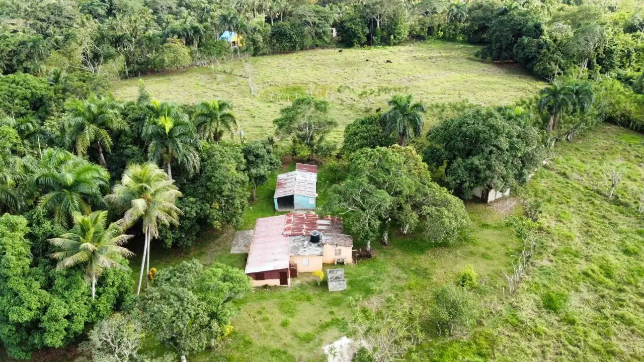 Finca de 50 tareas con vocación Agrícola y Ganadera con Casa campestre Foto 7277305-2.jpg