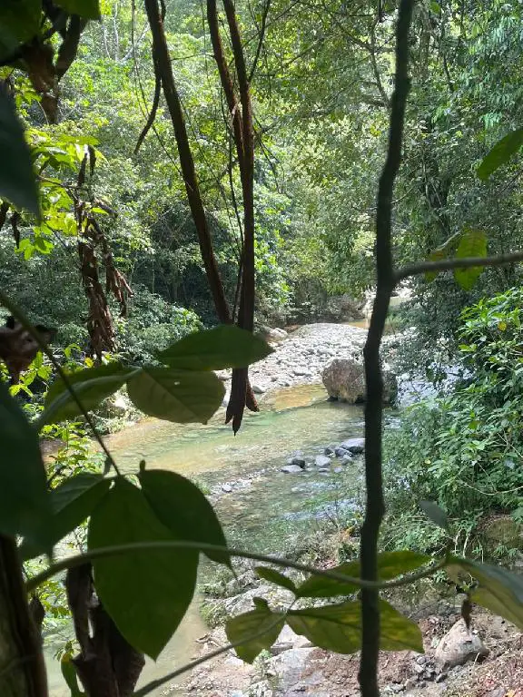 Venta terrenos en Jarabacoa Foto 7277361-1.jpg