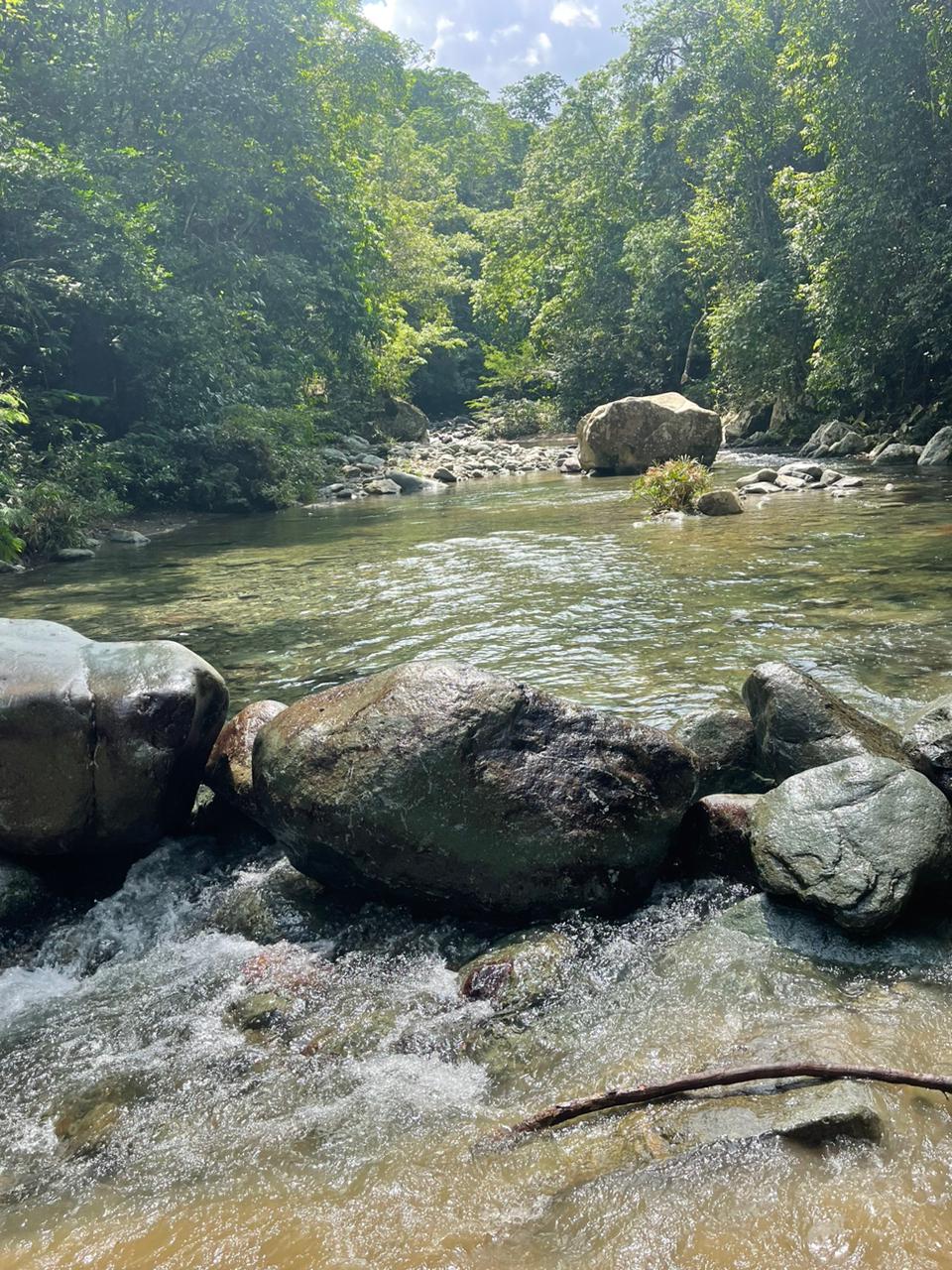 Venta terrenos en Jarabacoa Foto 7277361-3.jpg