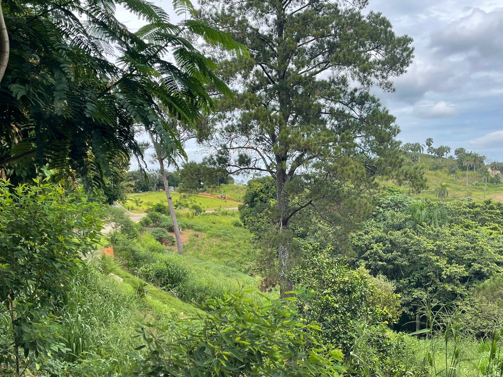 Venta terrenos en Jarabacoa Foto 7277361-5.jpg