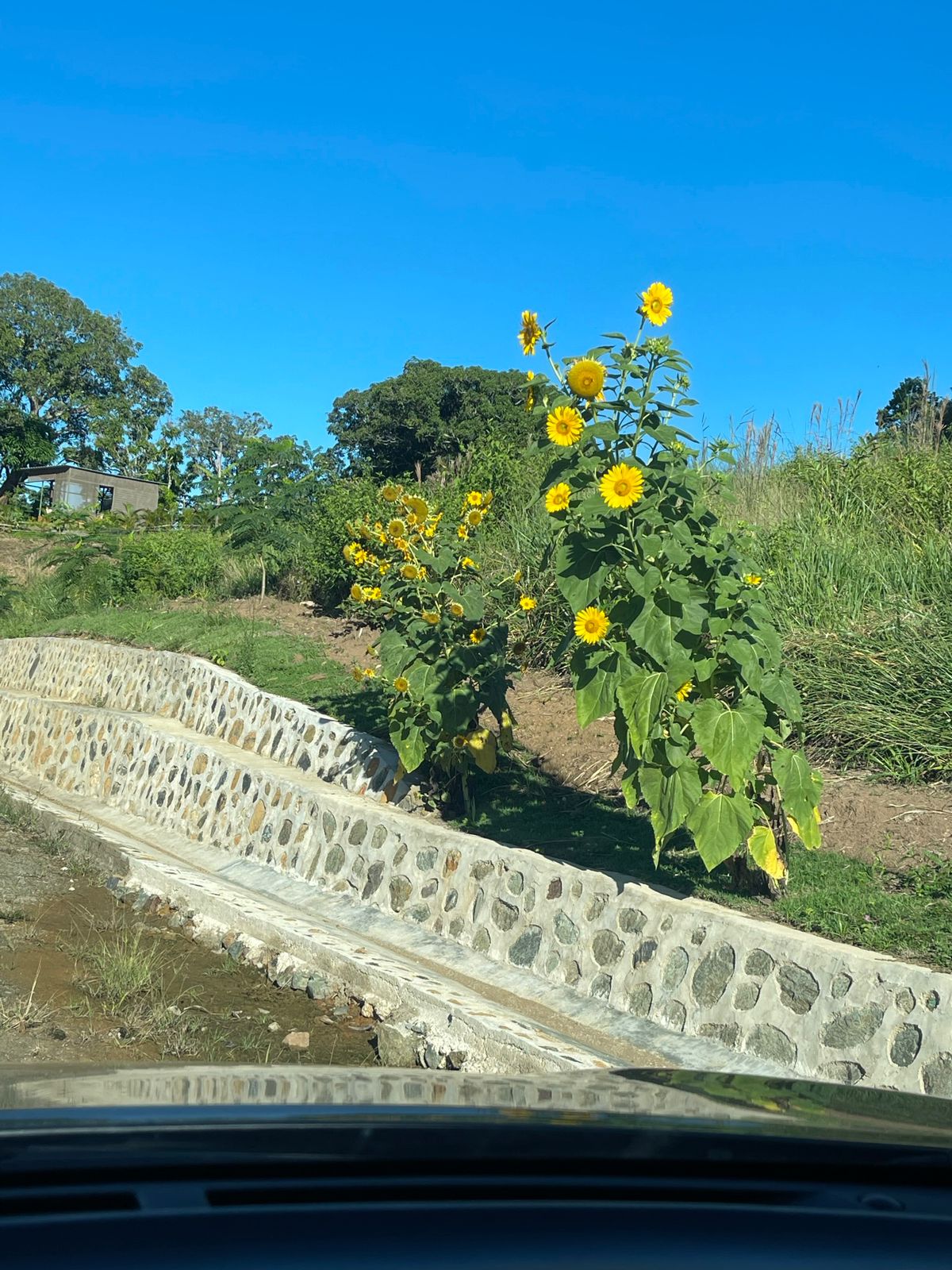 Venta terrenos en Jarabacoa Foto 7277361-7.jpg