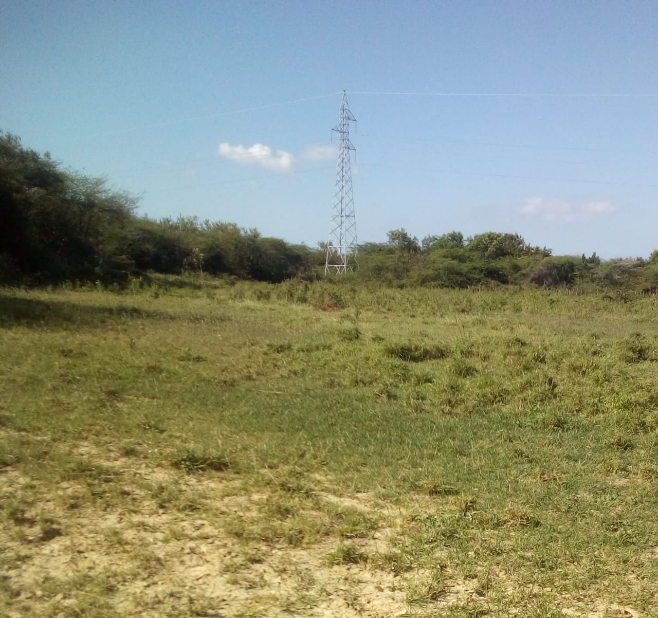 Finca de 1500 tareas Ideal para proyectos de paneles solares con torre Foto 7278164-2.jpg