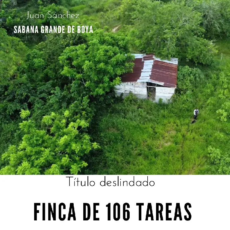 Finca de 106 tareas con vocación Agrícola y Ganadera en Sabana Grande  Foto 7279152-1.jpg