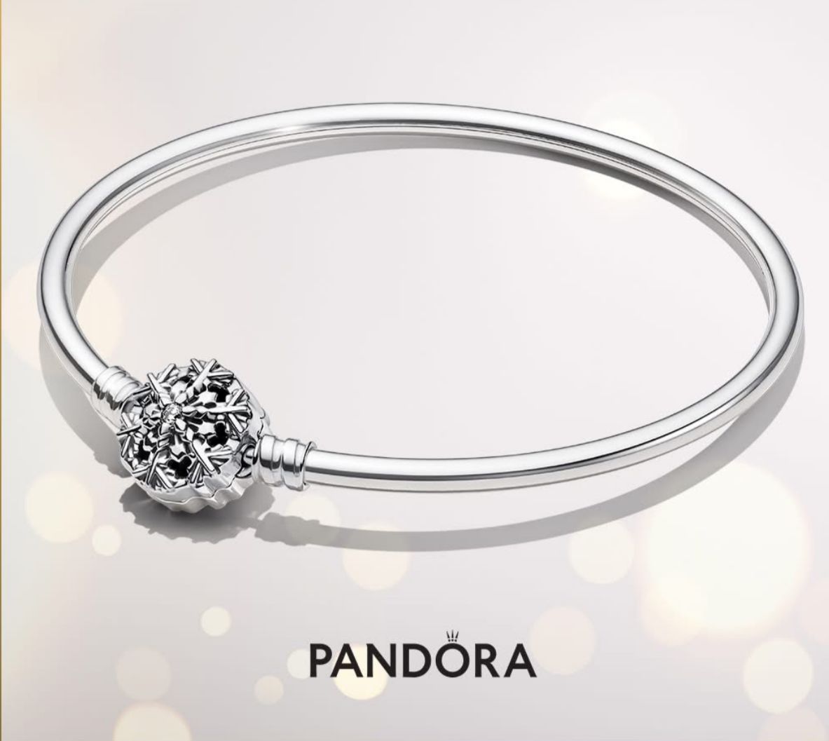Pandoras 100 Plata 925 Ale Foto 7279272-5.jpg