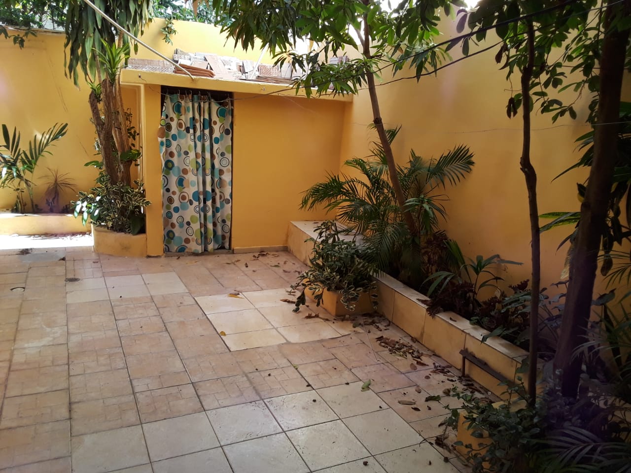 Casa en ALQUILER en Savica Alma Rosa ll 3-Hab 2-B Marq Patio SDE  Foto 7279384-9.jpg