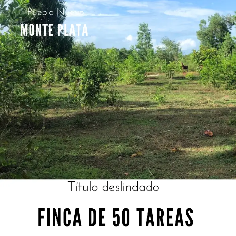 Finca de 50 tareas con vocación agrícola y ideal para casa campestre e Foto 7279421-1.jpg