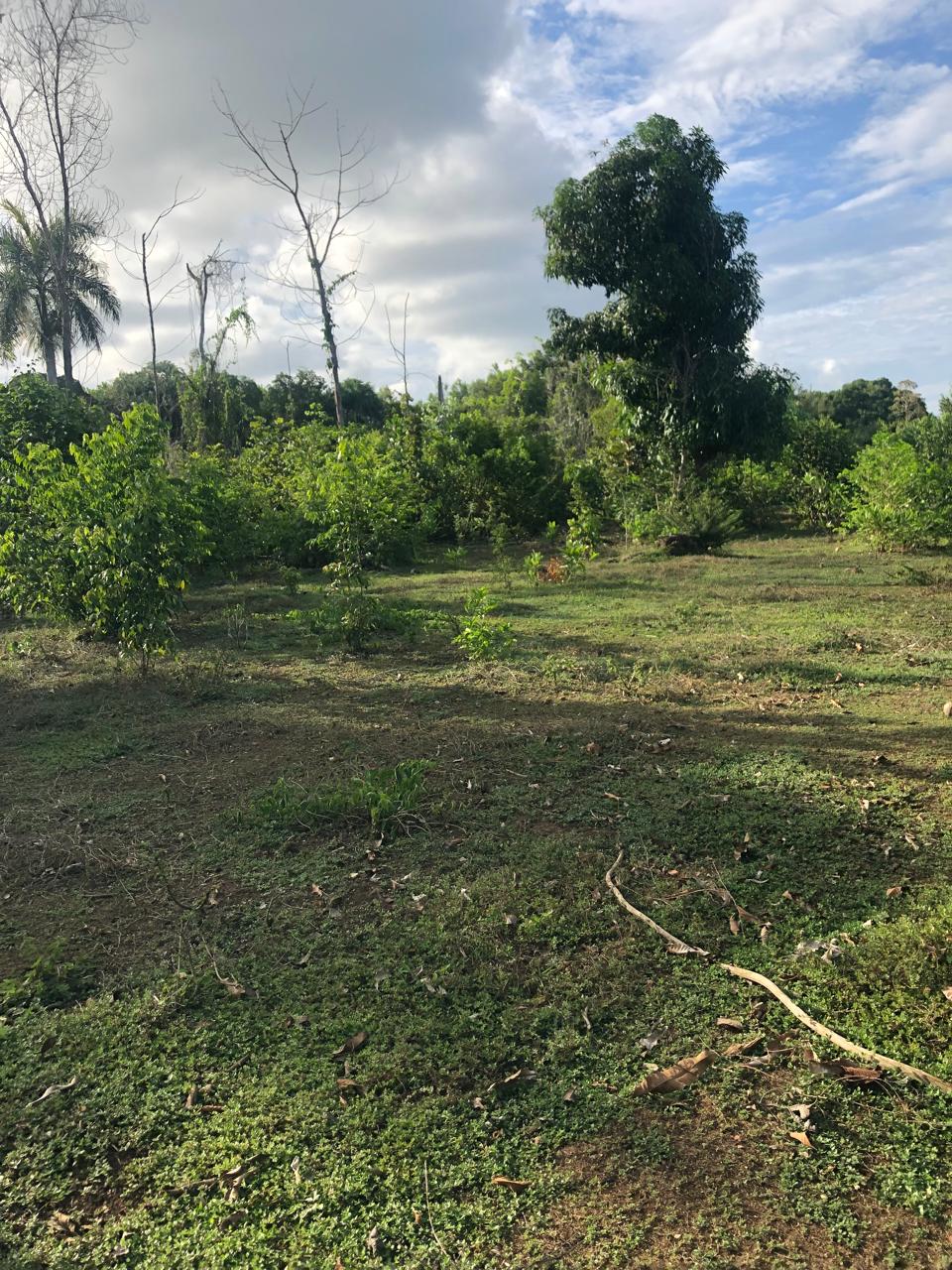 Finca de 50 tareas con vocación agrícola y ideal para casa campestre e Foto 7279421-3.jpg