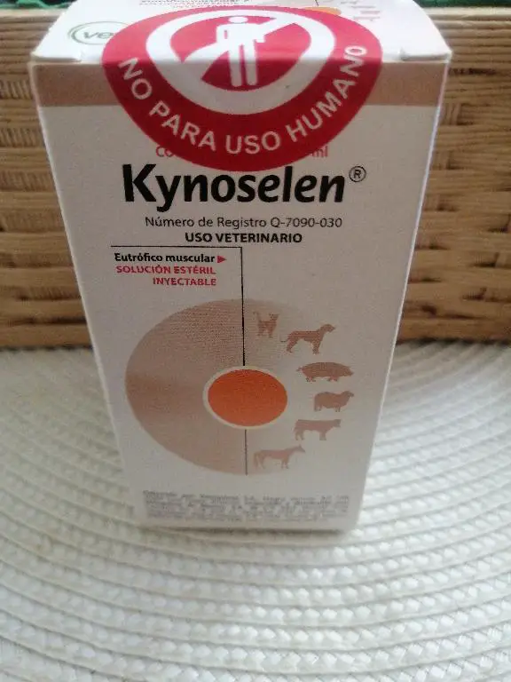 Kynoselen solución inyectable 100ml Foto 7279518-1.jpg
