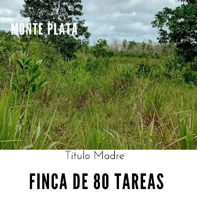 Finca de 80 tareas con vocación Agrícola y Ganadera en Monte Plata  Foto 7279568-1.jpg