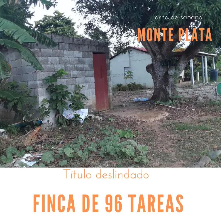 Finca de 96 tareas con invernadero en Monte plata Foto 7279739-1.jpg