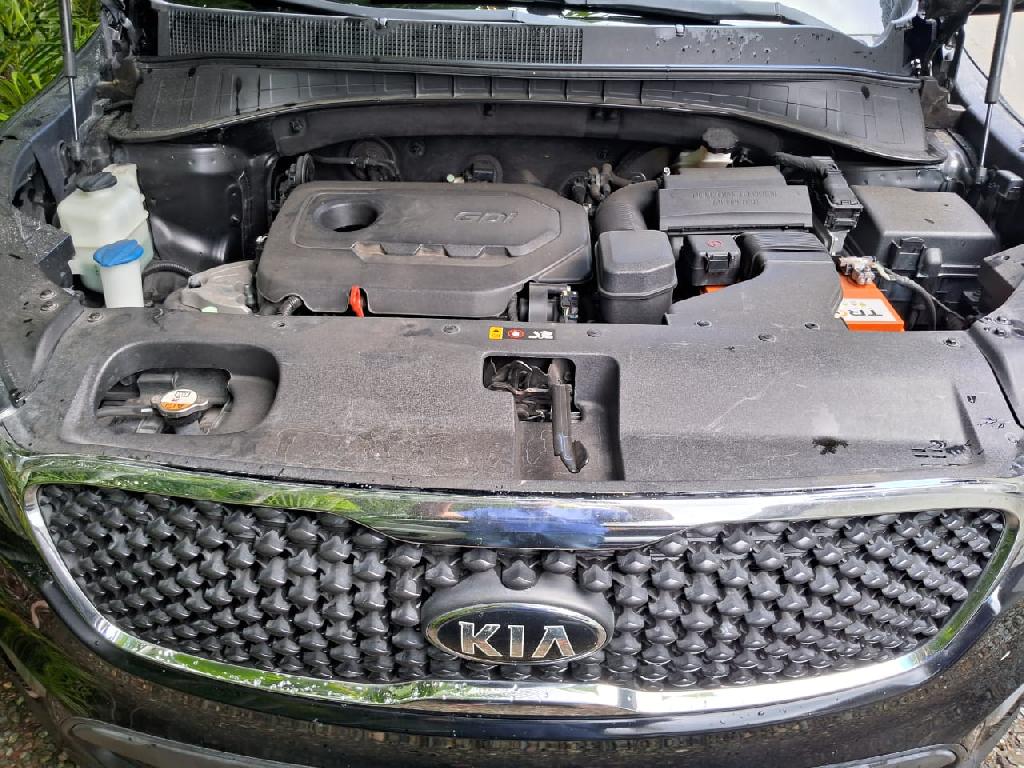 Kia Sorento 2017 Nueva en Santiago.  en Espaillat Foto 7279745-7.jpg