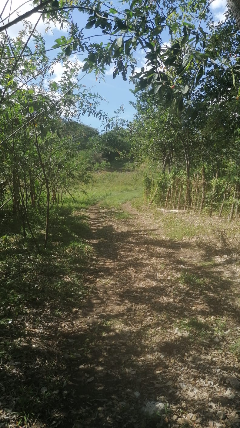 Venta Finca Los Montones San Cristóbal Foto 7279890-4.jpg