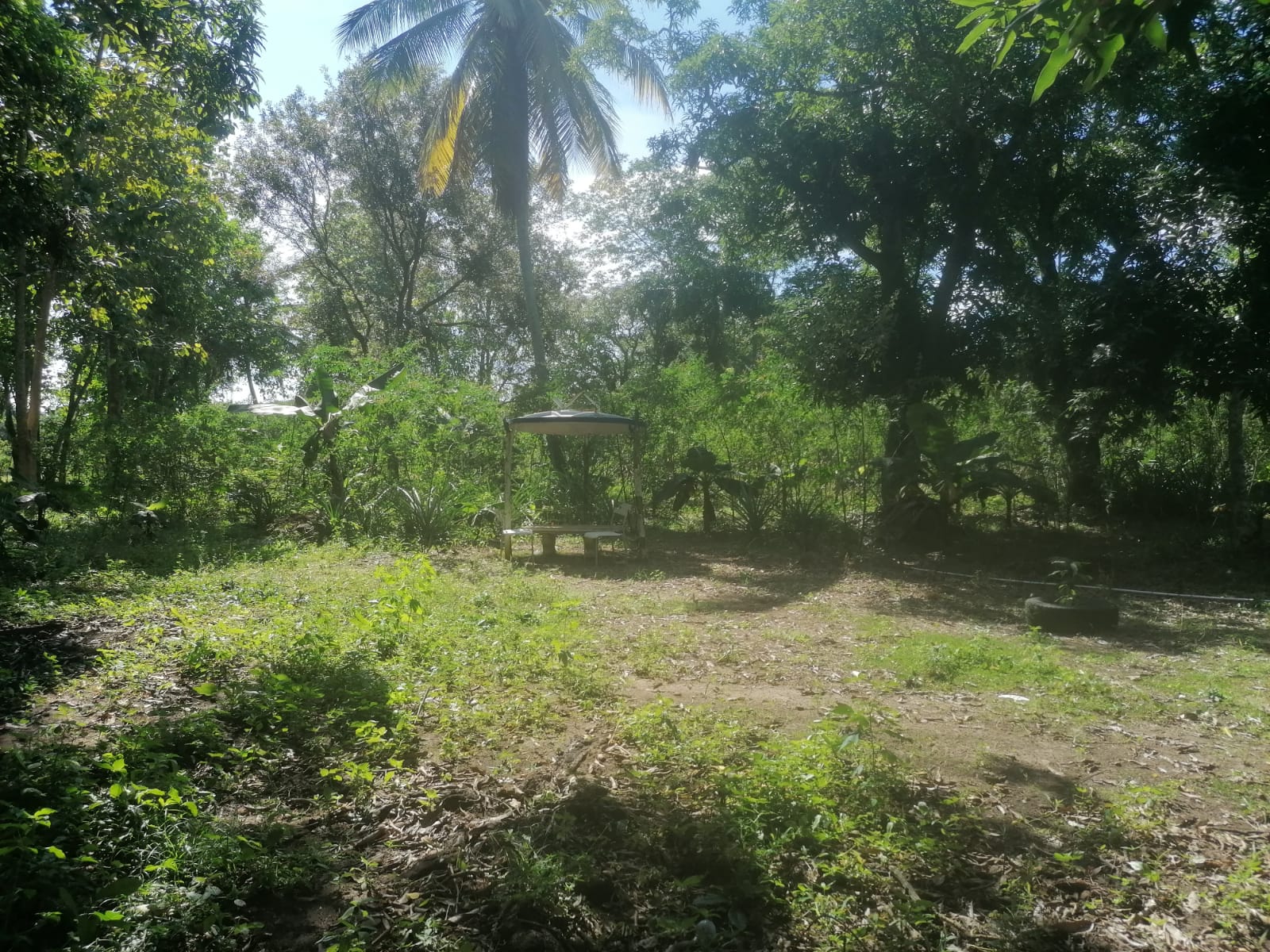 Venta Finca Los Montones San Cristóbal Foto 7279890-6.jpg