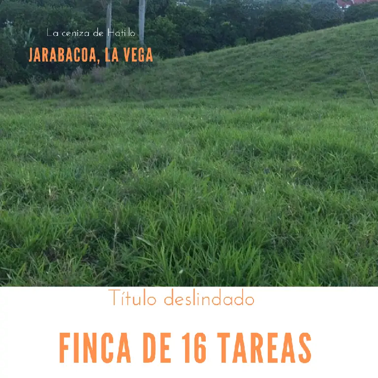 Terreno de 10046 Mts2 16tareas ideal para cabaña o casa campestre en J Foto 7280349-1.jpg