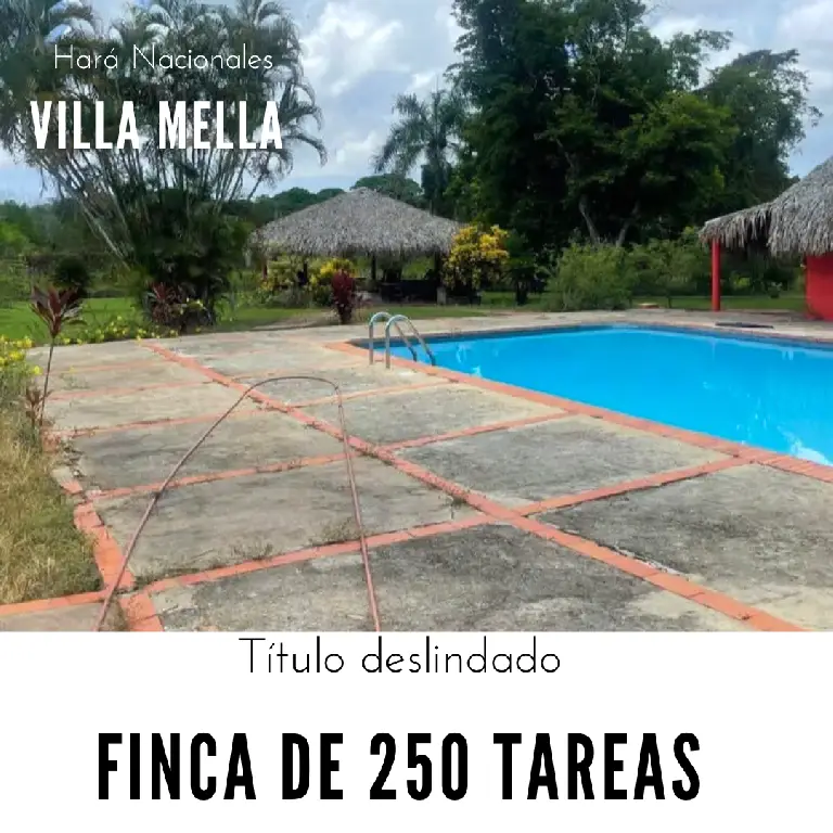 Finca de 250 tareas recreativas con vocación Agrícola y Ganadera en Ha Foto 7280545-1.jpg