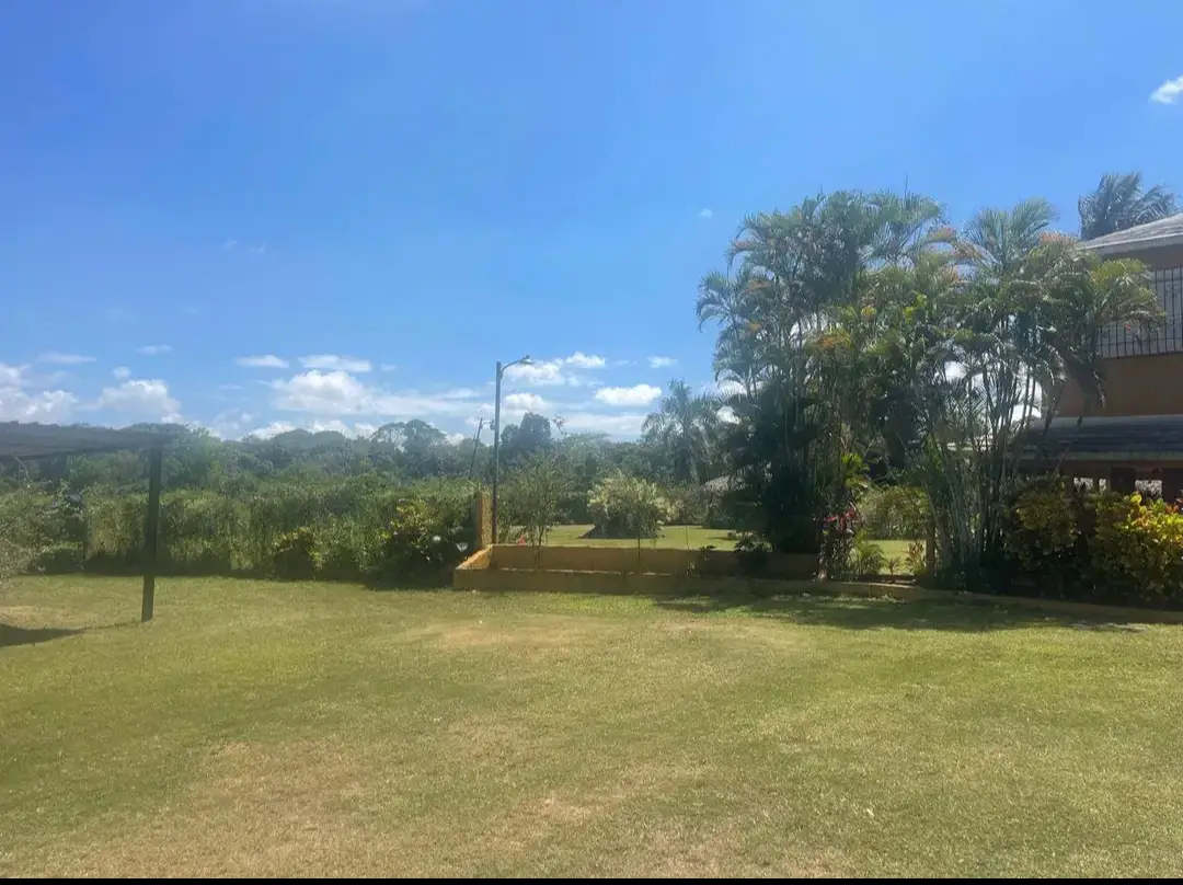 Finca de 250 tareas recreativas con vocación Agrícola y Ganadera en Ha Foto 7280545-10.jpg