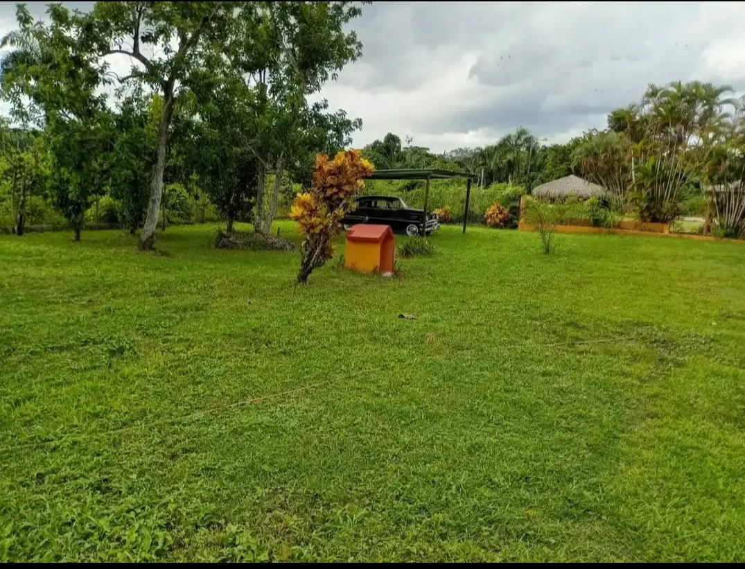 Finca de 250 tareas recreativas con vocación Agrícola y Ganadera en Ha Foto 7280545-13.jpg