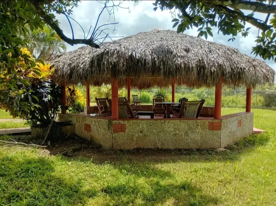 Finca de 250 tareas recreativas con vocación Agrícola y Ganadera en Ha Foto 7280545-14.jpg