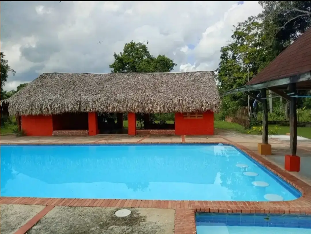 Finca de 250 tareas recreativas con vocación Agrícola y Ganadera en Ha Foto 7280545-15.jpg