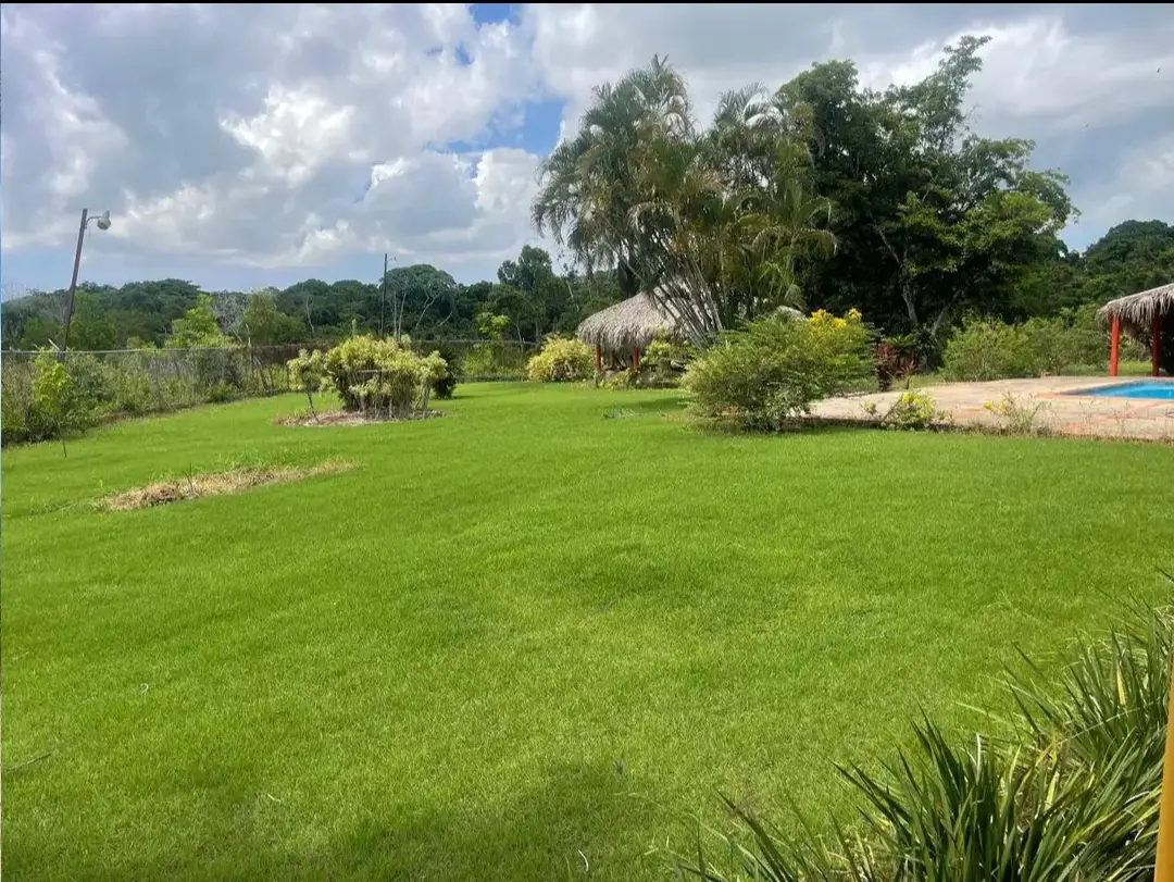 Finca de 250 tareas recreativas con vocación Agrícola y Ganadera en Ha Foto 7280545-9.jpg