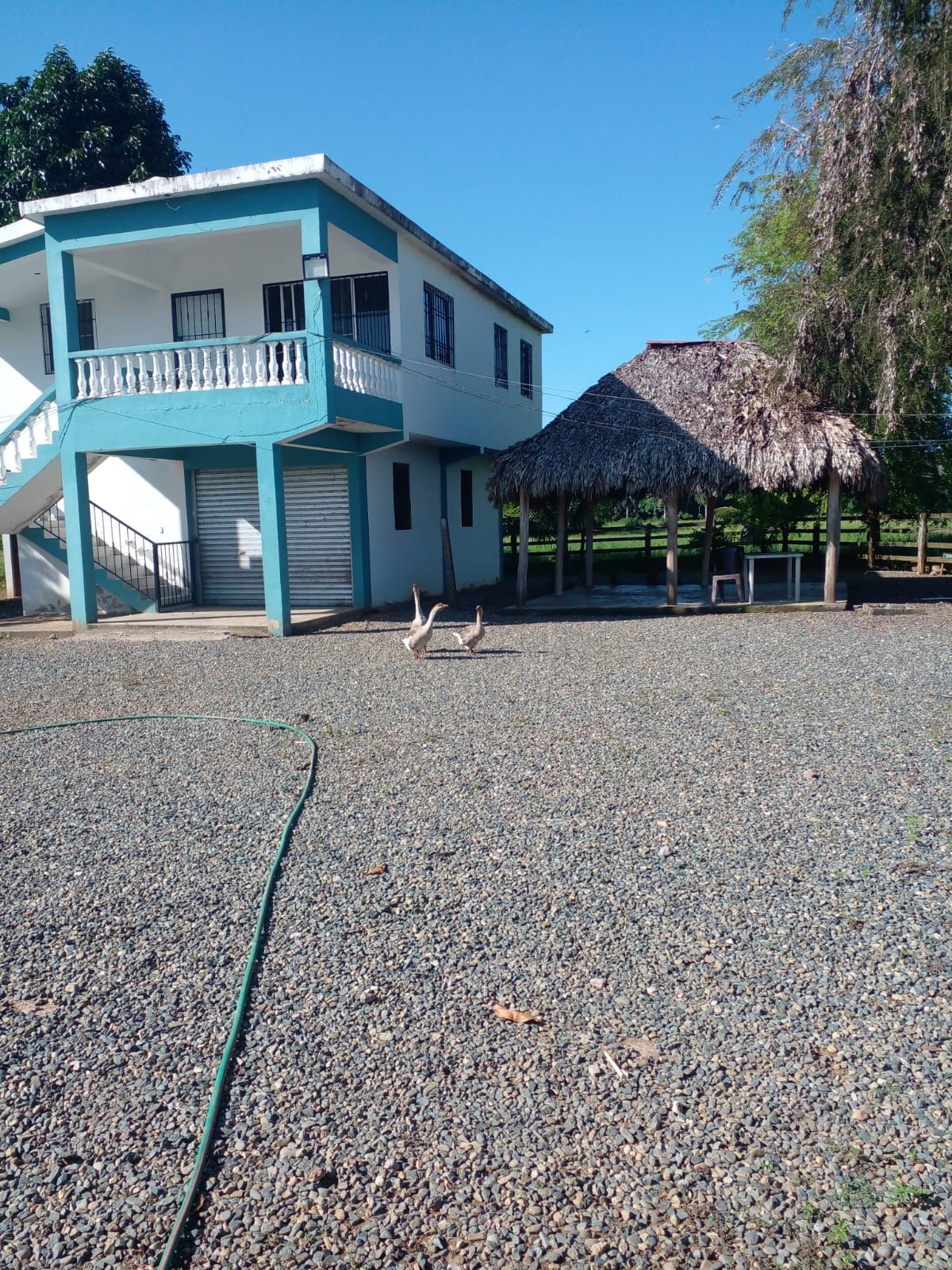 Finca de 896 tareas ganaderas con vocación agrícola totalmente llana a Foto 7281448-3.jpg